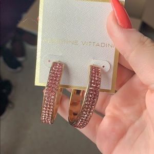 Pink Ombré Hoop Earrings